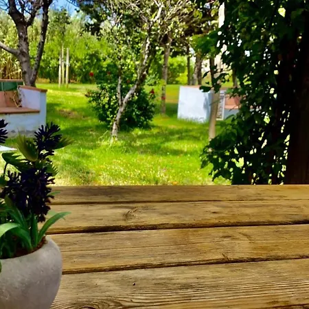 Banti Garden Inn