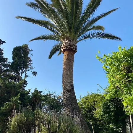 Inn Banti Garden