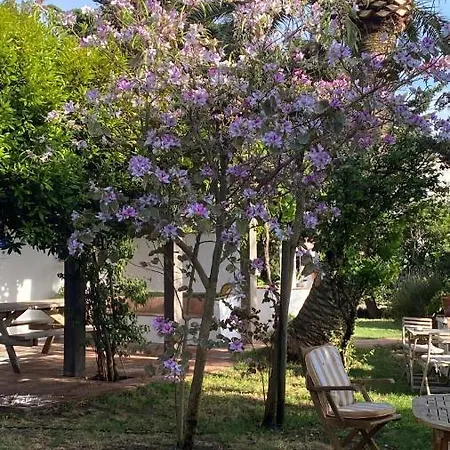 Banti Garden