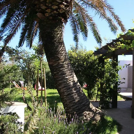 Banti Garden *