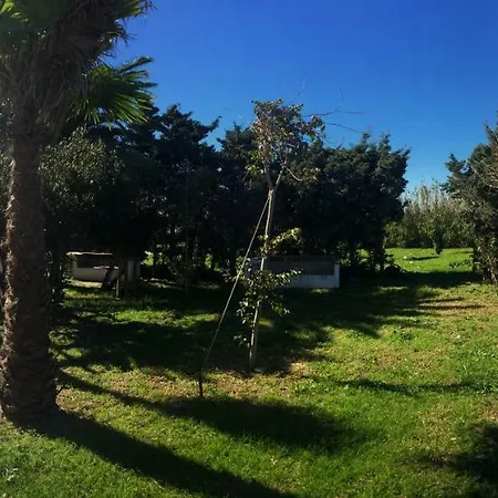 Banti Garden Tarifa